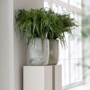 REEF VAS HANDBLÅST GLAS